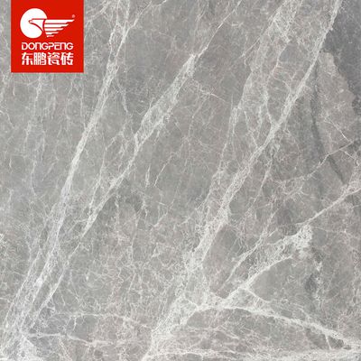 灰網(wǎng)紋（YG806207_010-O2O）-東鵬瓷磚