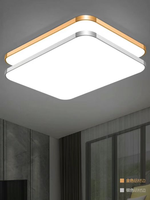 現(xiàn)代簡約 客廳臥室 北歐冷淡風(fēng) 吸頂燈